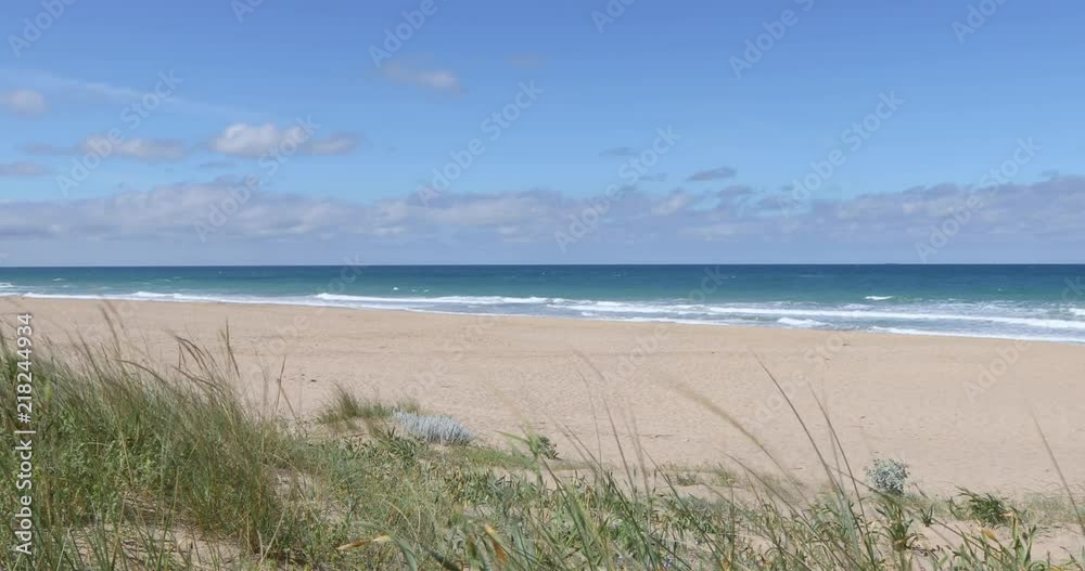 landscape from plants of Palmar Beach with golden sand, blue green turquoise ocean water, waves and horizon, in Vejer, Cadiz, Spain,
landscape from plants of Palmar Beach with golden sand, blue green turquoise ocean water, waves and horizon, in Vejer, Cadiz, Spain,