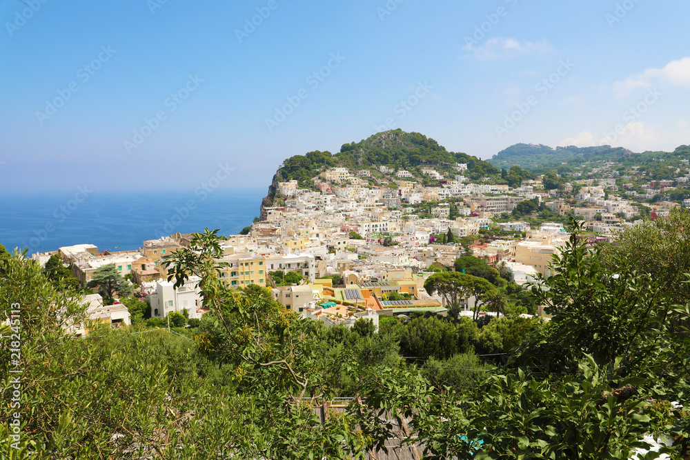 Panoramic view of houses in Capri Island between branches trees