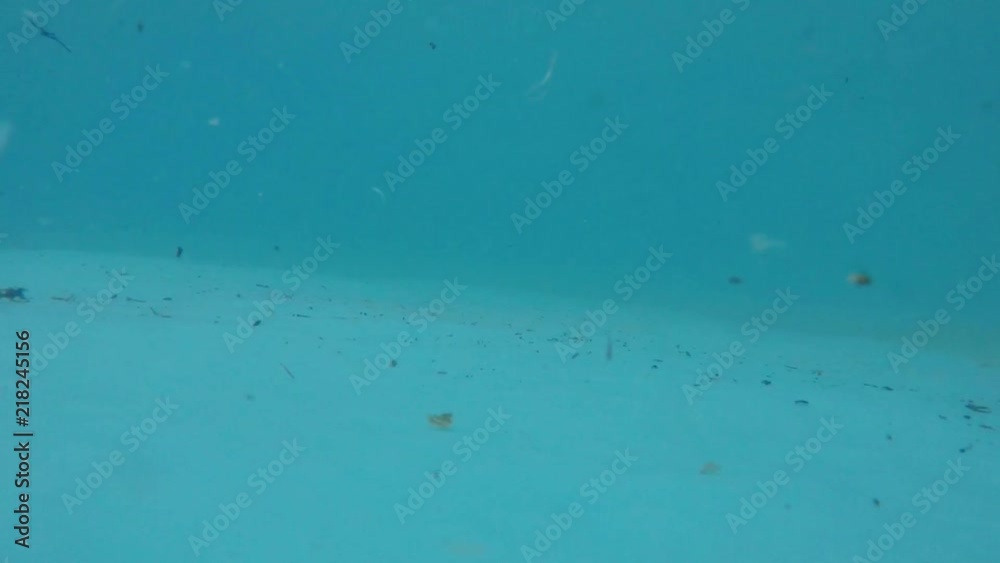 Dropping action camera into pool. Camera on pool floor. Dirty pool with bugs. Dropping action camera into pool. Camera on pool floor. Dirty pool with bugs.