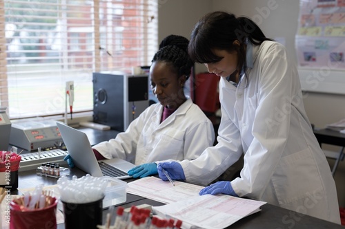 Laboratory technicians working in blood bank photo