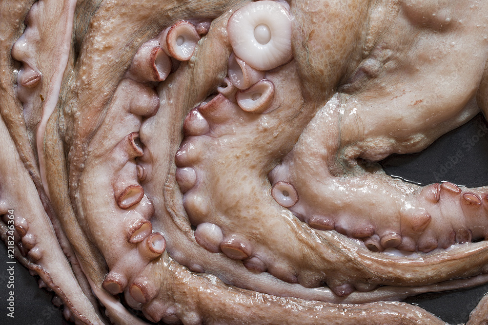 Obraz premium Close up of raw octopus from above.