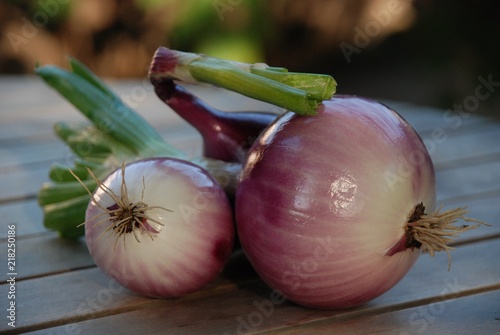 oignons rouges du jardin