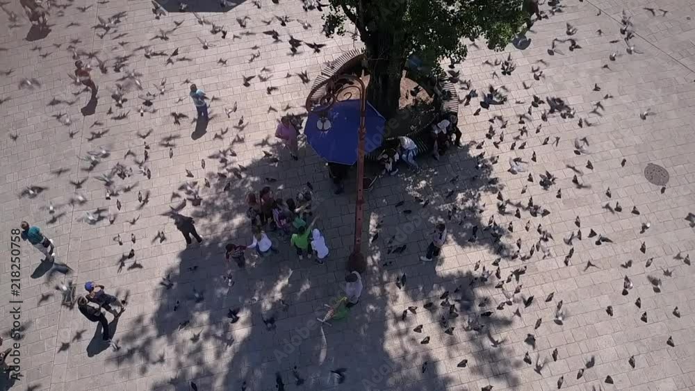 Aerial slow motion shot of pigeons in Sarajevo, Bosnia and Herzegovina Aerial slow motion shot of pigeons in Sarajevo, Bosnia and Herzegovina
