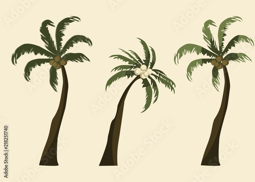 coconut tree vector illustration 