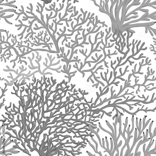 Sea world seamless pattern, background with fish, corals and shells on white background. Stock vector illustration. In monochrome gray colors