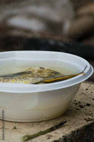 pot of fish soup being prepared on the fire, a warm quiet evening
