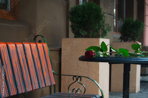 a single red rose lay on the table