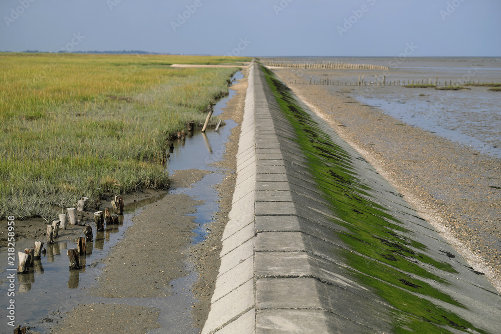 Uferbefestigung aus Beton zwischen Deichvorland und Wattenmeer an der Nordseeküste - Stockfoto