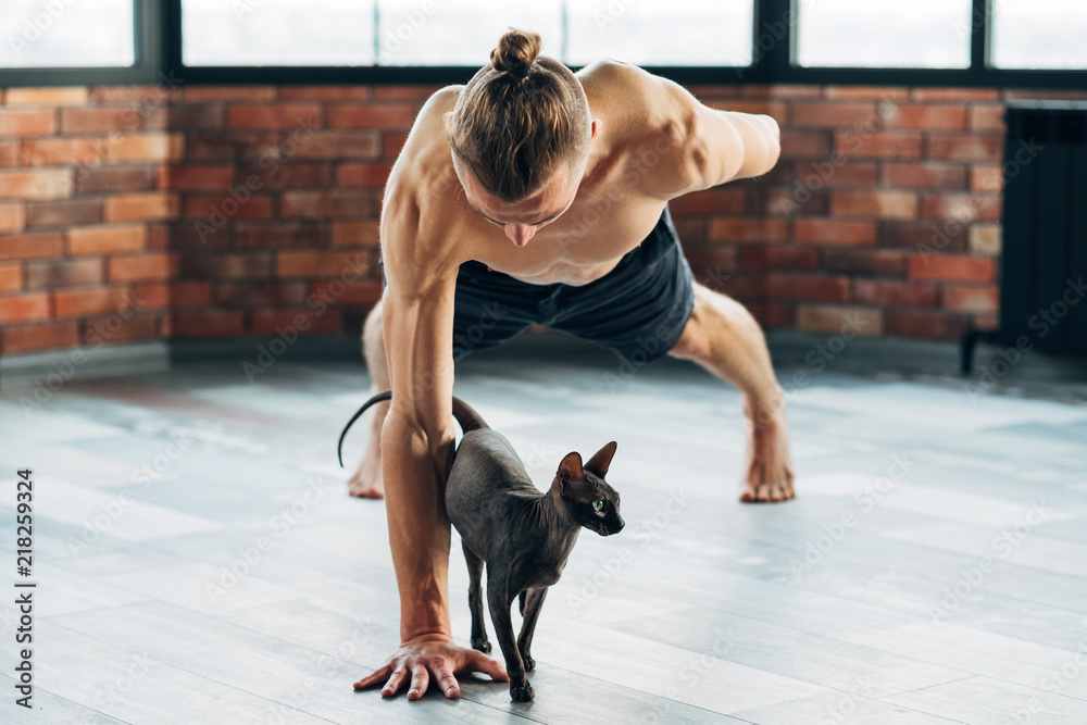 pet yoga. training with your animals can be fun. fit healthy strong yogi  trying exercise with his sphynx cat. Stock Photo | Adobe Stock