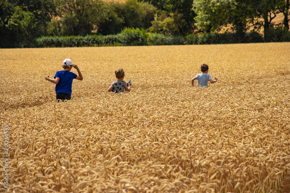 Children running through wheat field Children running through wheat field