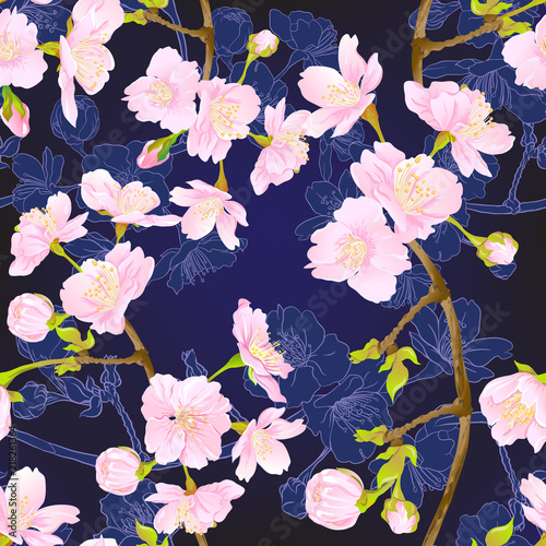 Seamless pattern  background with blooming cherry japanese sakura in soft rose pink colors. Stock vector  illustration. Isolated on dark blue background. Colored and outline pattern.