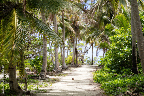 Palm trees and path on a tropical island