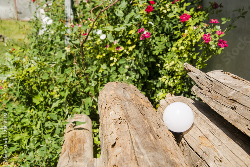 Ecological white light bulbs