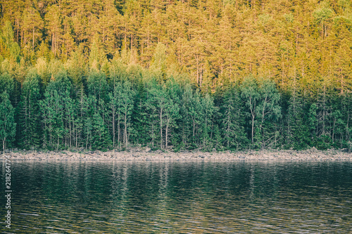Forest is shaded by a mount...