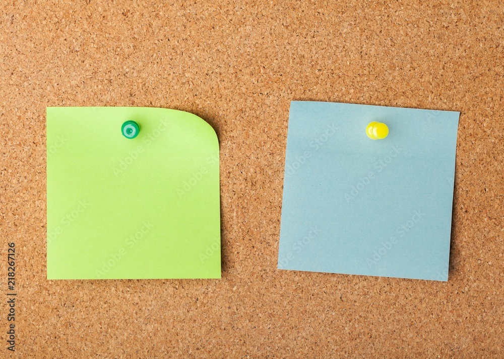 Blank Notes with Pins Blank Notes with Pins