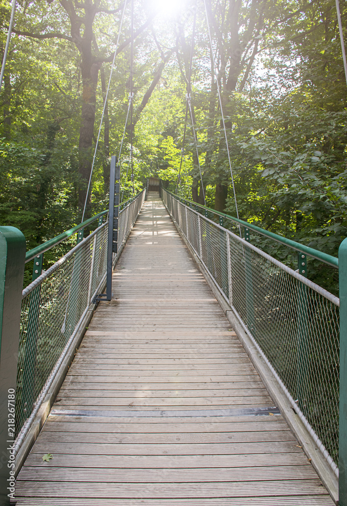 Bridge across a public park