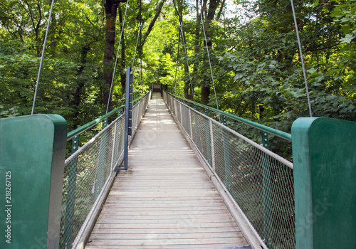 Bridge across a public park