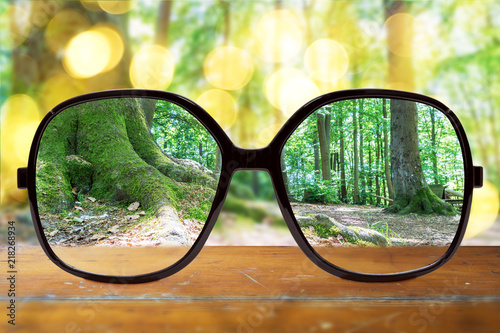 Fototapeta Naklejka Na Ścianę i Meble -  Brille mit klarer Sicht im Wald