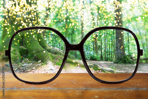 moderne Brille auf einem Holztisch vor einem Wald