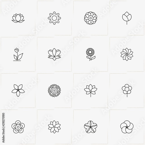 Flowers line icon set with chamomile , lotus and flower