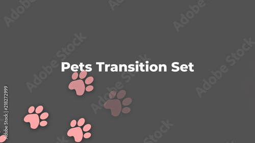 Pet Transitions