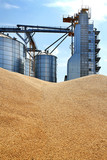 External construction, storage and drying of grain, wheat, corn, soybeans on the background of granaries
