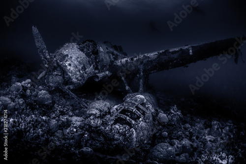 Airplane Wreck Palau
