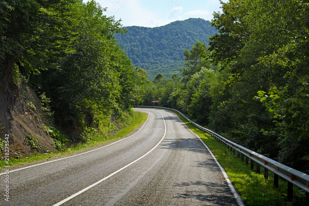 Road in green mountain forest
