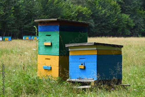 Two wooden beehives on apiary