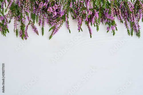 Border of common heather on white background. Copy space, top view. photo