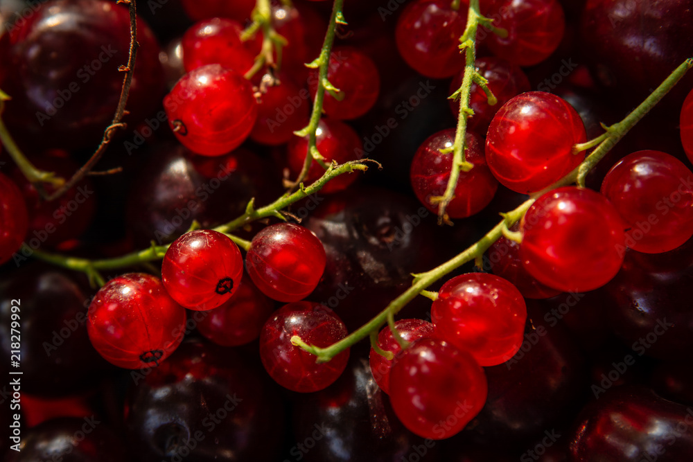 Red currant berries and cherries in the sunlight. Red currant berries and cherries in the sunlight.