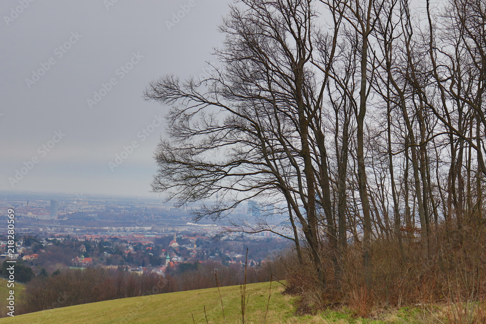 Obraz premium Vienna from above