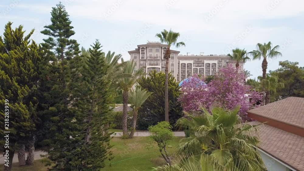 Park with palm trees and trees, top view, drone video, move back.