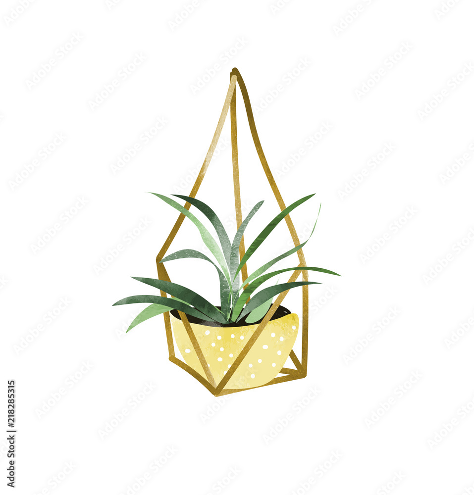 hanging pot plant vector watercolor illustration. doodles of potted plant. cute sketch in yellow card, web design, print. hand drawn. house Stock Vector | Adobe Stock