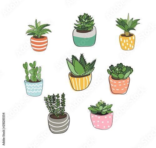 potted plants collection. succulents and house plants. hand drawn vector art.  Set of house indoor plant vector cartoon doodle.