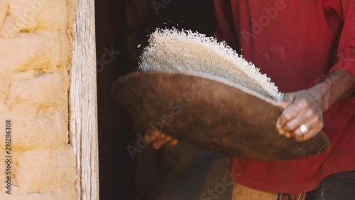 African man is throwing the rice grains in the air and letting the wind seperate the grains from the chaff. slow motion photo