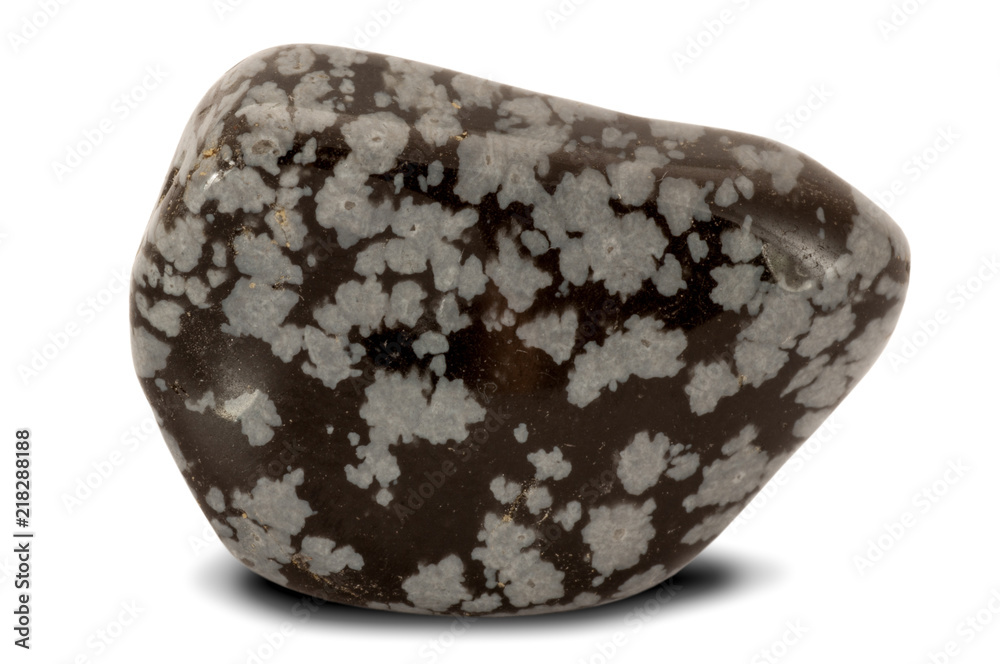 Polished Snowflake Obsidian Stone Isolated On White Background Stock Photo Adobe Stock Polished Snowflake Obsidian Stone Isolated On White Background Stock Photo Adobe Stock