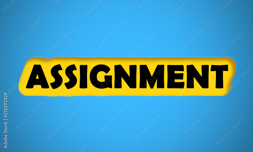 Assignment Assignment