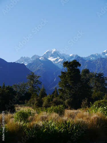 Marsh with background mountain