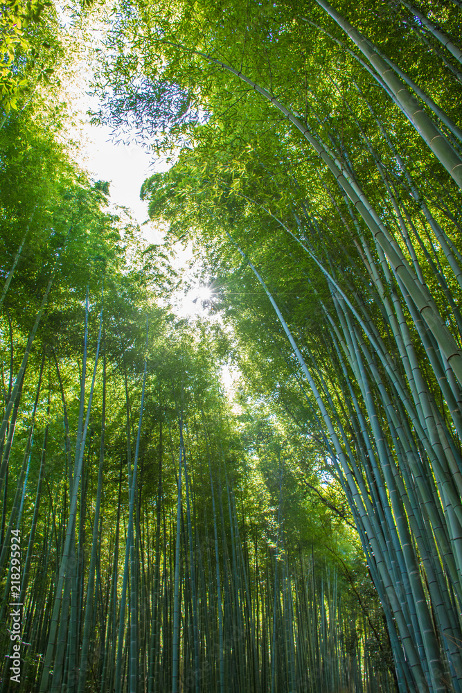 Japan Japan