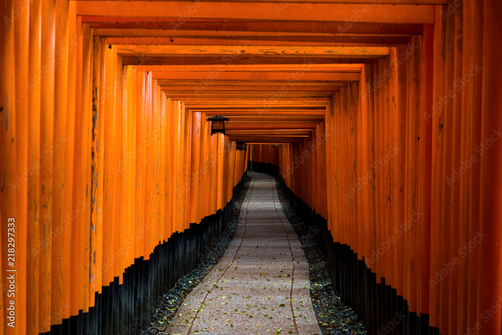 Red Tori Gate at Fushimi Inari Shrine in Kyoto, Japan. Red Tori Gate at Fushimi Inari Shrine in Kyoto, Japan.
