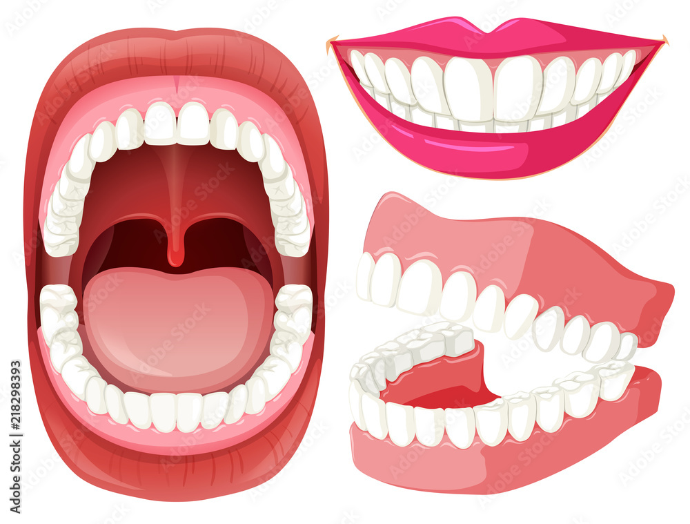 Naklejka premium Set of mouth and teeth