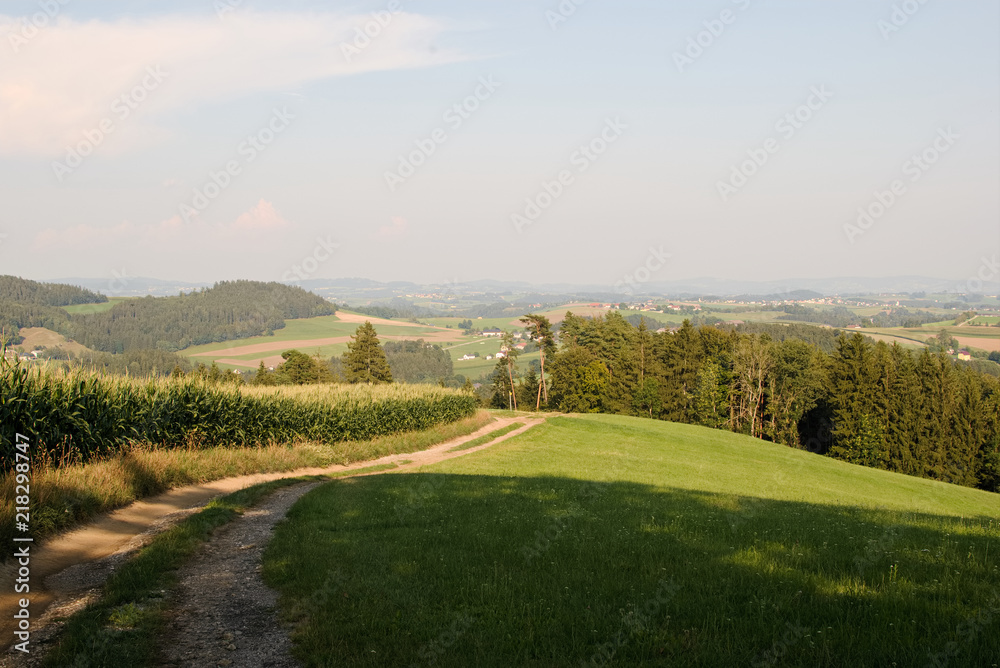 Fototapeta premium Blick ins Muehlviertel bei Niederkappel in Oberösterreich