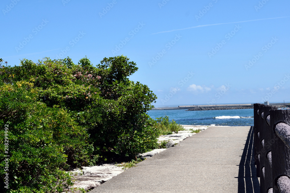 興津海水浴場 遊歩道