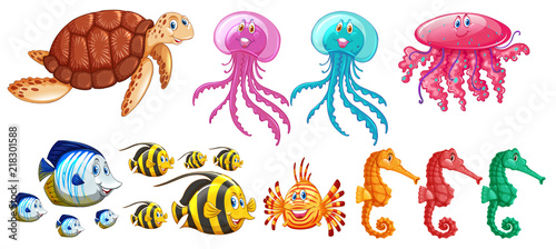 A set of sea animals