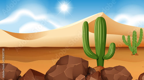Desert scene with cactus