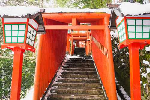 The red torii are arranged along the mountain ridge. To bring pilgrims to the shrine at the top of the mountain. photo
