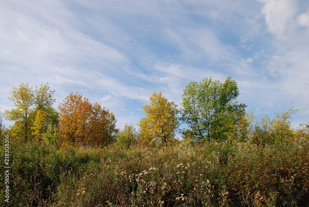 Russian autumn landscape Russian autumn landscape