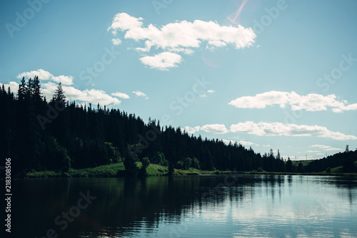 A bright sunny day, a view of a lake with pines