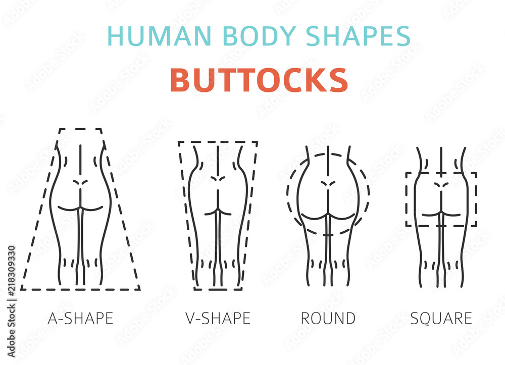 Human body shapes. Woman buttocks types set